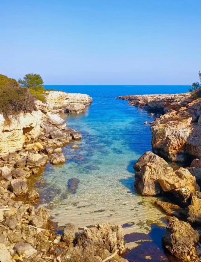 Dream House Διαμέρισμα Monopoli Εξωτερικό φωτογραφία